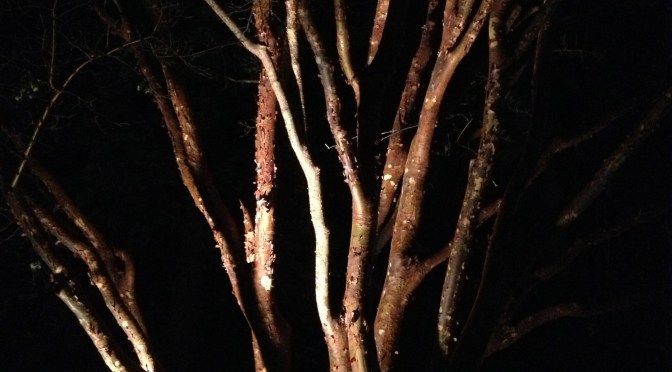 The Write Way to Take a Mulligan