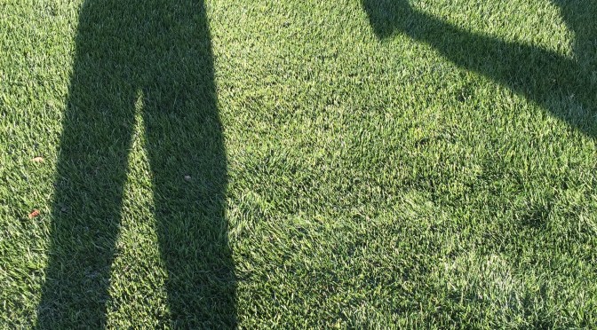 Why Did the Runner Cross the Road?