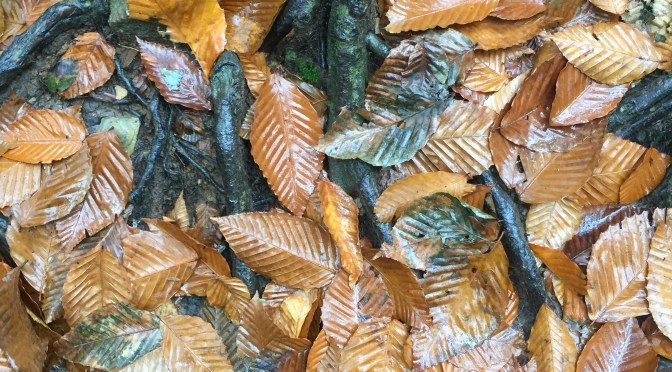 REFRAIN: Your First Step to Courage Means More Than Just Counting to 10